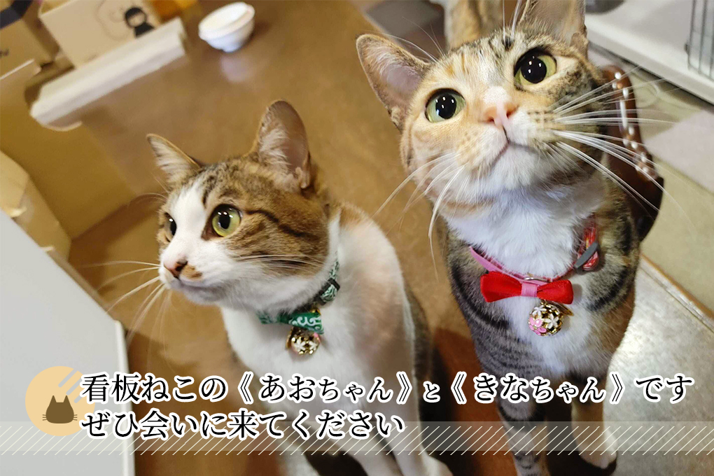 スライド05
